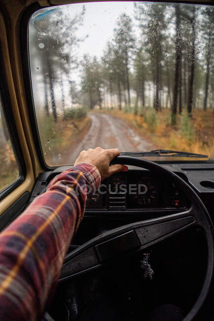 Crop man holding on wheel and driving along wet road in autumn evergreen forest — Stock Photo