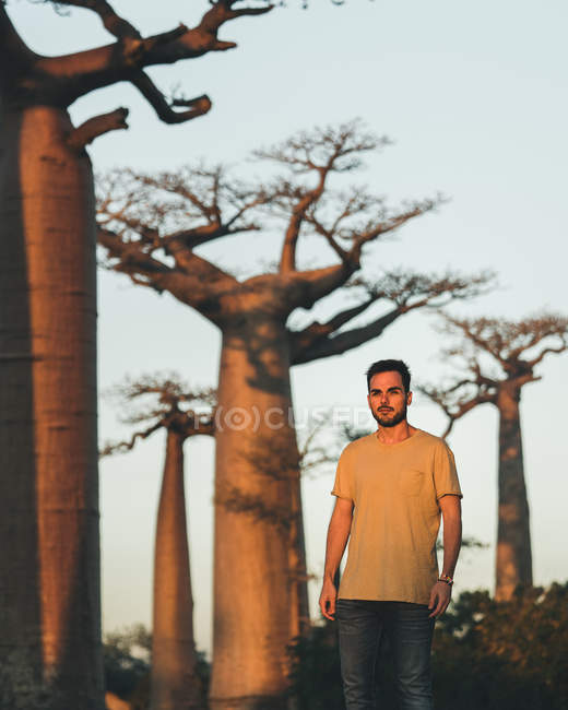 Uomo in piedi vicino baobab al tramonto — Foto stock