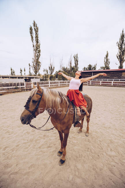 Graceful rider sitting at harnessed horse walking along paddock — Stock Photo