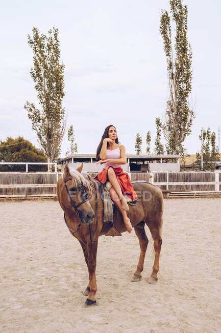 Cavaleiro gracioso sentado no cavalo arnessed andando ao longo paddock — Fotografia de Stock