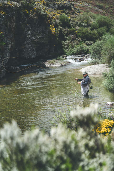 Вид збоку на обладнану людину, що ловить рибу, стоячи в болотах у гірському потоці за скелею та лісом — стокове фото