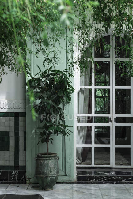 Panelas com pequenas árvores localizadas perto da entrada arqueada da casa verde na rua de Marraquexe, Marrocos — Fotografia de Stock