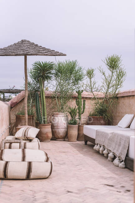 Macetas con plantas tropicales y cómodo sofá situado en la terraza contra el cielo nublado en Marrakech, Marruecos - foto de stock