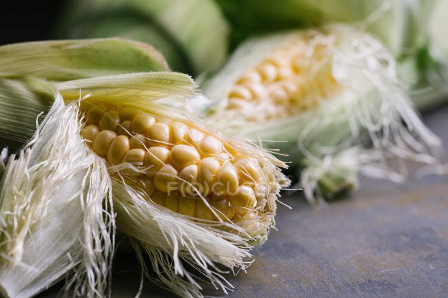 Close-up of fresh harvested corn in green leaves on table — Stock Photo