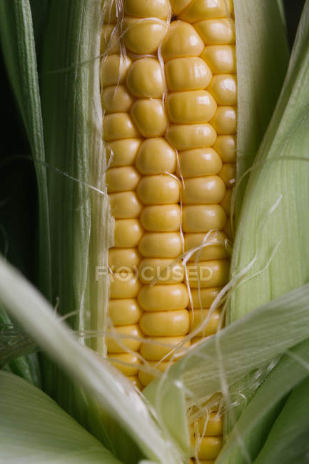 Fresh yellow corn kernels in green leaves, full frame — Stock Photo