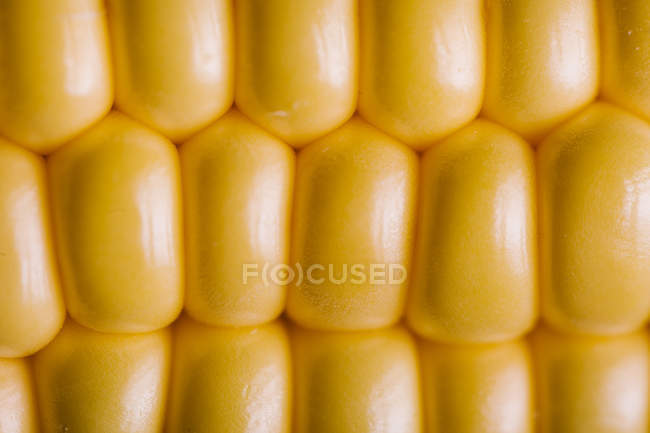 Granos de maíz amarillo fresco en filas, primer plano - foto de stock