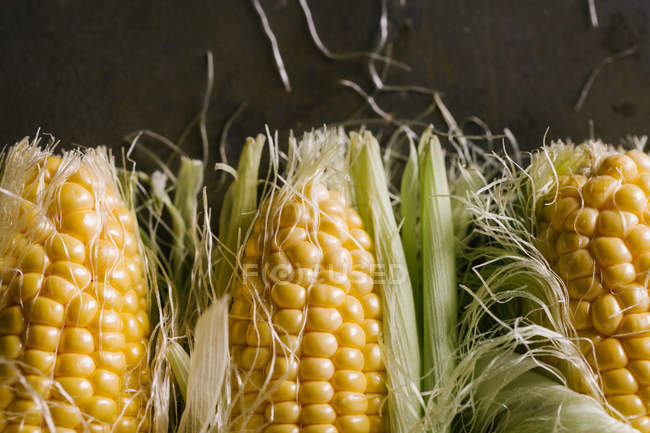 From above of arrangement of fresh harvested corn cobs on black background — Stock Photo