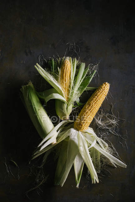D'en haut de l'arrangement des épis de maïs frais récoltés sur fond noir — Photo de stock