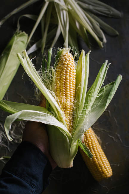 Mains d'une personne méconnaissable épluchant du maïs frais — Photo de stock
