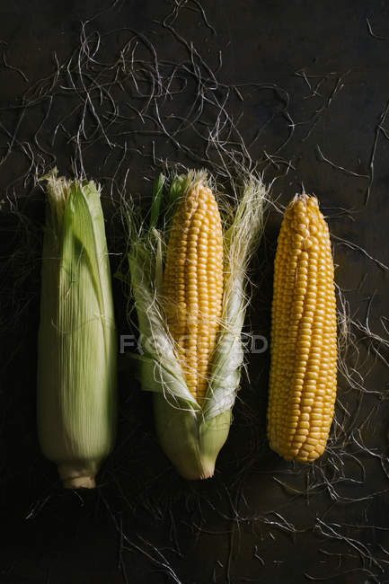 From above of arrangement of fresh harvested corn cobs on black background — Stock Photo