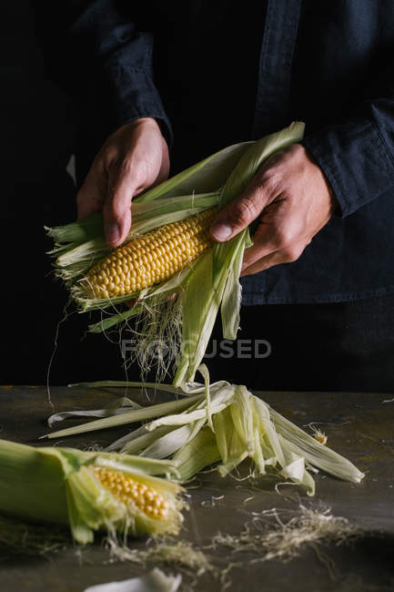 Mãos de pessoa irreconhecível descascando milho fresco — Fotografia de Stock