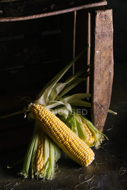 Arranjo de espigas de milho frescas colhidas em caixa de madeira — Fotografia de Stock