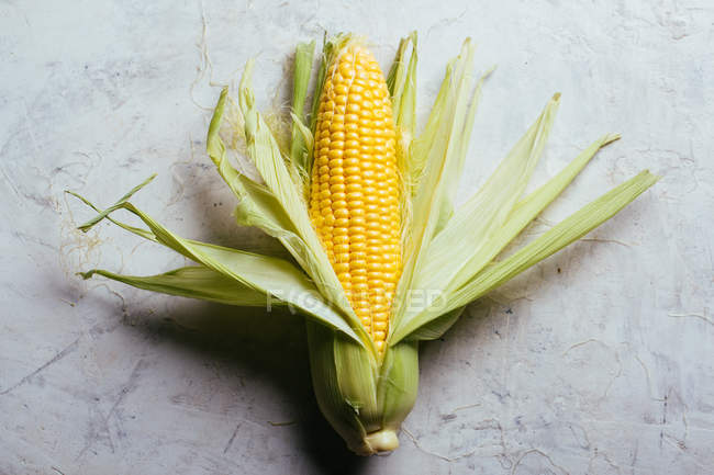 Fresh harvested corn on grey marble background — Stock Photo