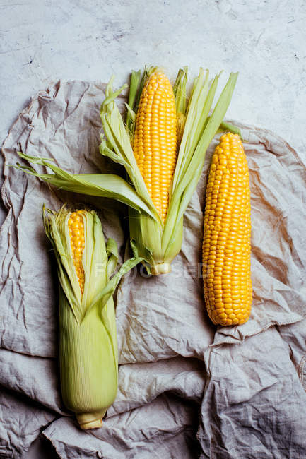 Аранжування свіжих збираних кукурудзяних цицьок на сільському тканинному сірому мармуровому фоні — стокове фото