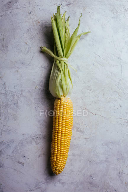 Fresh ripe corn in green leaves on marble table — Stock Photo