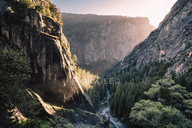 Быстрая вспененная река на дне лесной долины между каменистыми скалами в солнечном свете в США — стоковое фото
