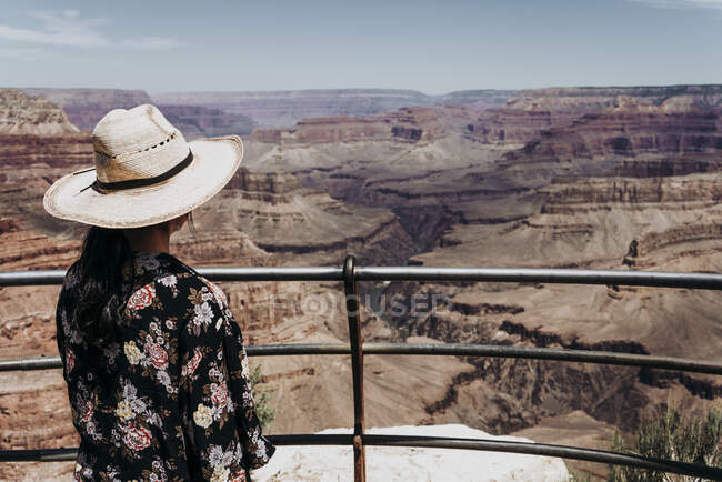 Guardare il turista in piedi sul bordo del pittoresco canyon — Foto stock