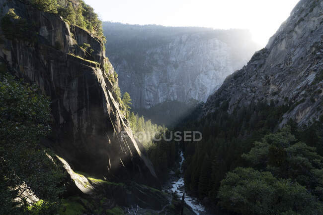 Pendientes rocosas de montaña con árboles frondosos en crecimiento y río en un día soleado en Estados Unidos - foto de stock