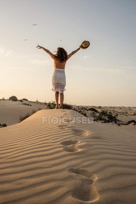 Aktive Frau steht mit Hut in ausgestreckten Armen in trockener Wüste — Stockfoto
