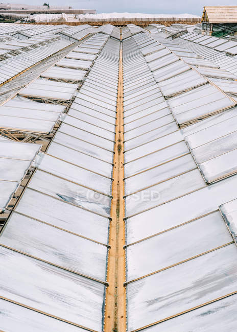 Vista de alto ângulo de telhados de vidro de estufas — Fotografia de Stock