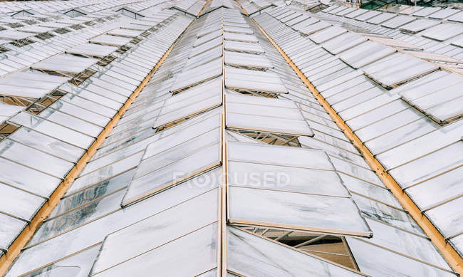 Высокий угол обзора стеклянных крыш теплиц — стоковое фото