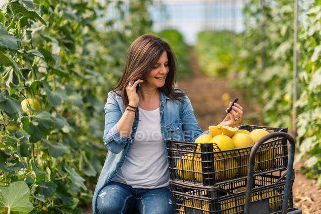 Agricultor usando smartphone mientras trabaja en invernadero - foto de stock