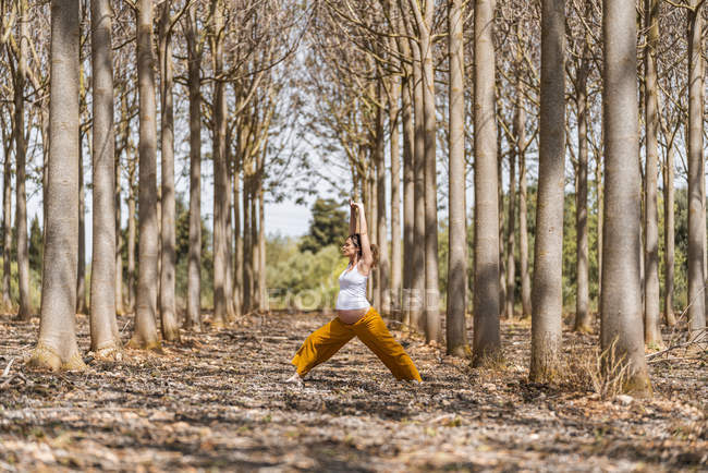 Доросла майбутня мати практикує трикутник йога позу в парку під час сонячного дня — стокове фото