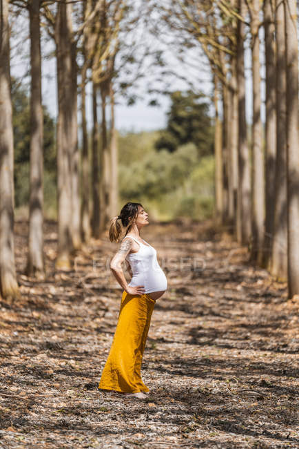 Доросла майбутня мати практикує йогу в парку під час сонячного дня — стокове фото