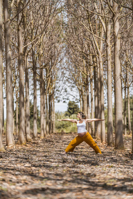 Взрослая будущая мать, практикующая позу воина йоги в парке в солнечную погоду — стоковое фото