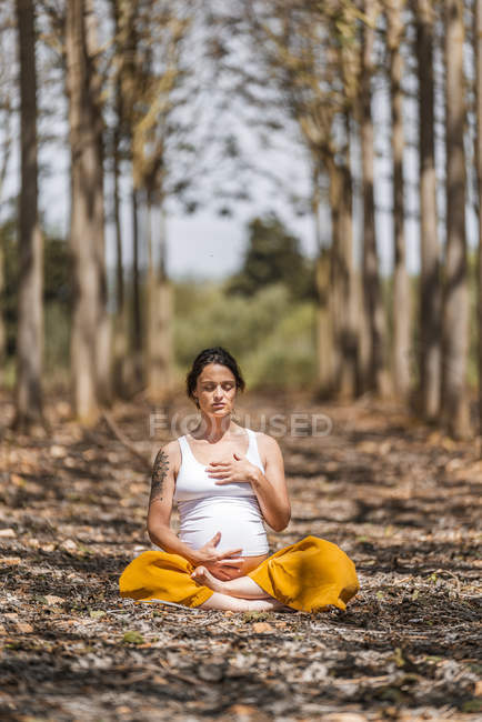 Calmo adulto mulher grávida praticando ioga enquanto sentado em pose de lótus no chão no parque — Fotografia de Stock
