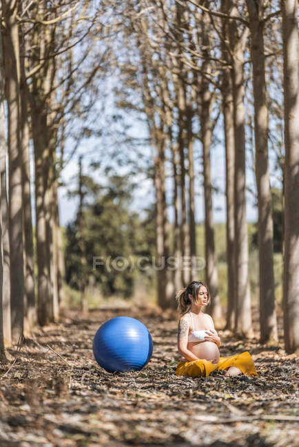 Безтурботний дорослий вагітна жінка роздумує з блакитним м'ячем, сидячи на землі серед дерев у парку — стокове фото