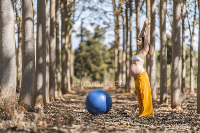 Доросла вагітна жінка тренується з м'ячем пілатесу в парку під час сонячного дня — стокове фото