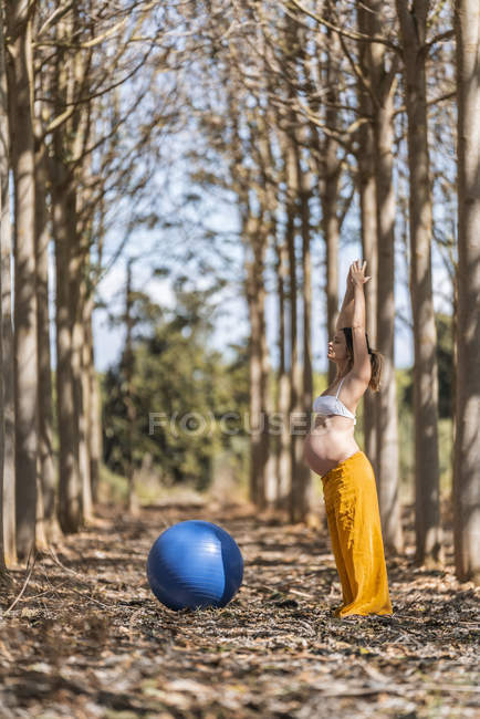 Sereno adulto embarazada entrenamiento con pilates pelota en el parque durante el tiempo soleado - foto de stock