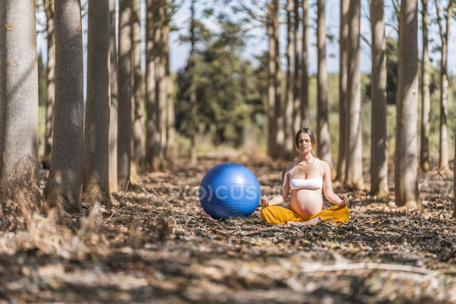 Señora embarazada calma con los ojos cerrados sentado y meditando al lado de grandes pilates azules en forma de bola en el claro del bosque - foto de stock