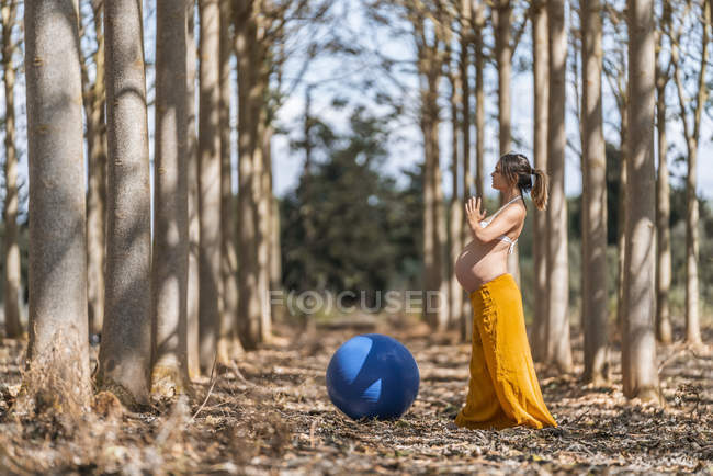 Sereno adulto mulher grávida treinando com bola pilates no parque durante o tempo ensolarado — Fotografia de Stock