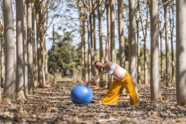 Mujer embarazada bastante adulta con los ojos cerrados estirándose y doblándose mientras hace ejercicio de pilates con gran bola azul en el bosque - foto de stock