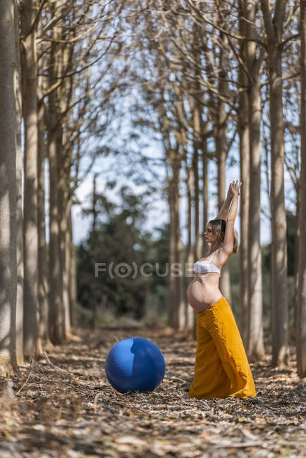 Взрослая беременная женщина практикует пилатес с голубым мячом в парке в солнечный день — стоковое фото