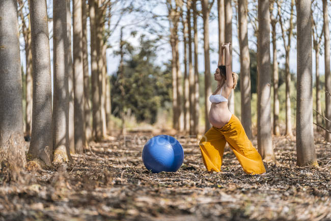 Доросла вагітна жінка практикує пілатес з синім м'ячем у парку під час сонячного дня — стокове фото
