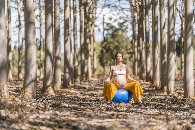 Erwachsene schwangere Dame sitzt bei sonnigem Tag auf großem Pilates-Ball im Park — Stockfoto