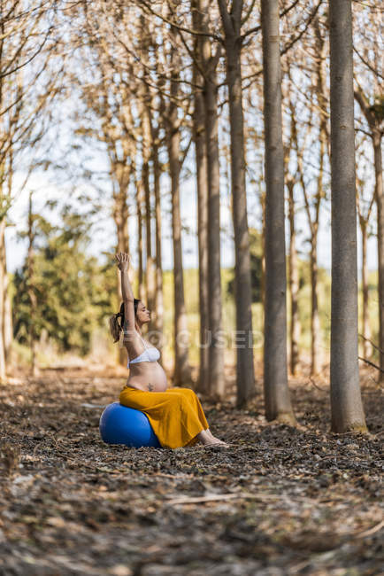 Mãe expectante fazendo exercício pilates enquanto sentado em grande bola elástica ajuste azul na clareira floresta outono — Fotografia de Stock