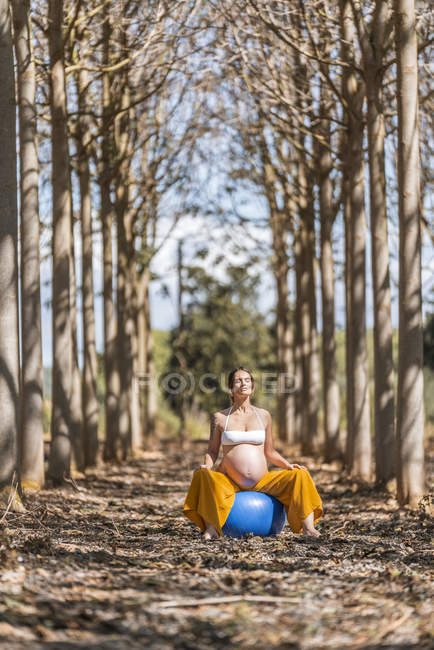 Werdende Mutter beim Pilates-Training im Sitzen auf einem großen elastischen blauen Fitnessball in der herbstlichen Waldlichtung — Stockfoto
