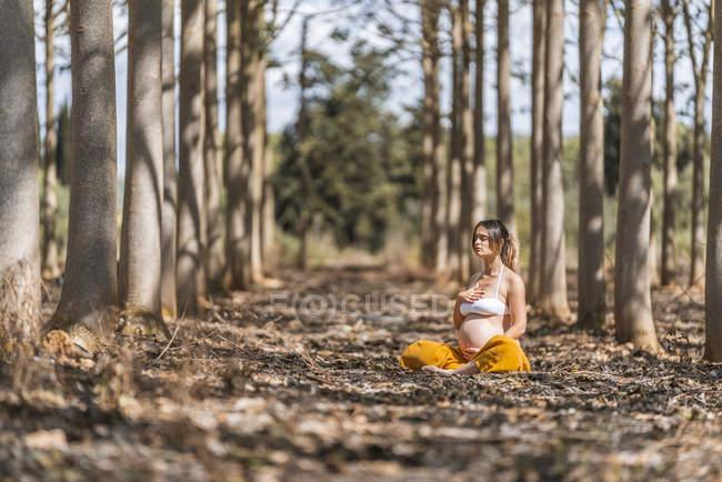Calma adulto donna incinta meditando mentre seduto in posa loto a terra nel parco — Foto stock
