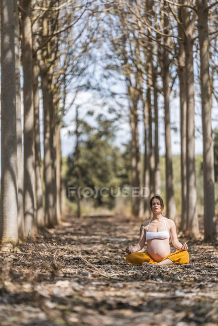 Ruhige erwachsene schwangere Frau meditiert, während sie in Pose Lotus auf dem Boden im Park sitzt — Stockfoto