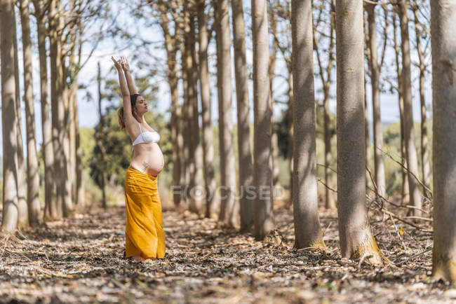 Konzentrierte erwachsene werdende Mutter streckt die Arme, während sie Yoga im Park praktiziert — Stockfoto