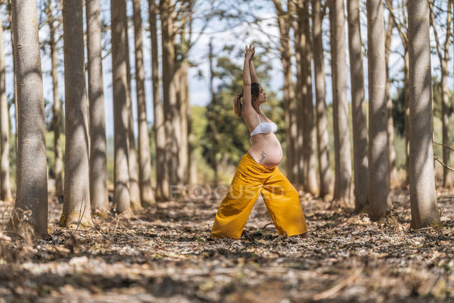 Concentrado adulto expectante mãe alongamento braços enquanto pratica ioga no parque — Fotografia de Stock