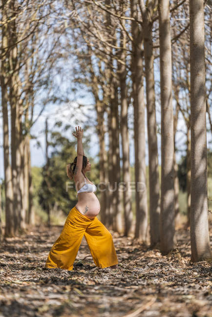 Концентрована доросла майбутня мати розтягує руки, практикуючи йогу в парку — стокове фото