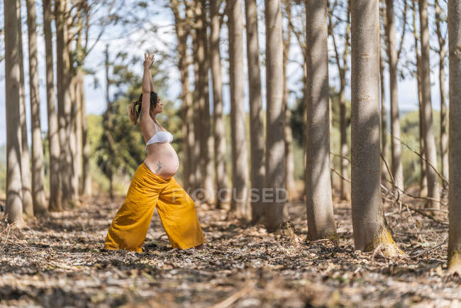 Femme enceinte adulte concentrée pratiquant le yoga dans le parc — Photo de stock