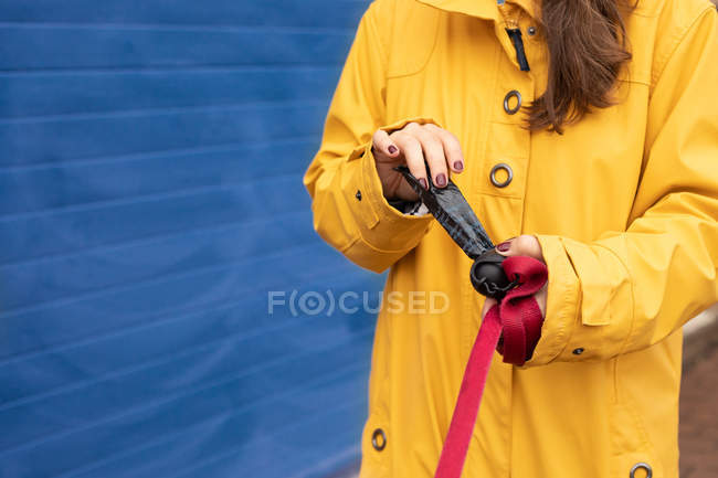 Mujer irreconocible en chaqueta amarilla abriendo bolsa de caca de perro mientras sostiene la correa en la calle - foto de stock