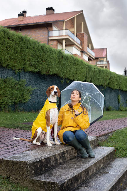 Ruhiger englischer Zeiger in gelbem Mantel und Frau in gelbem Regenmantel mit Regenschirm sitzen bei regnerischem Wetter zusammen an der Treppe — Stockfoto