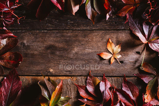 Superficie de madera superior con hojas de otoño amarillo anaranjadas de color rojo brillante con espacio para copias - foto de stock